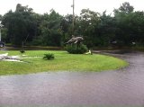 Ocracoke School Dolphin mascot can almost swim out of the school circle